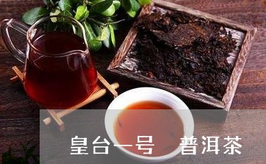 皇台一号 普洱茶/2023033165049